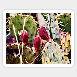 Texas Cactus Fantasy Sticker